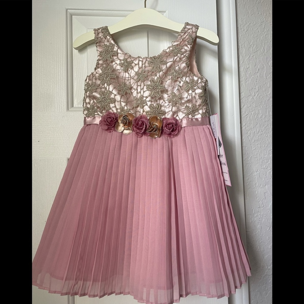 Rare Editions 2T Flower 🌸 girl toddler girl Occasion dress